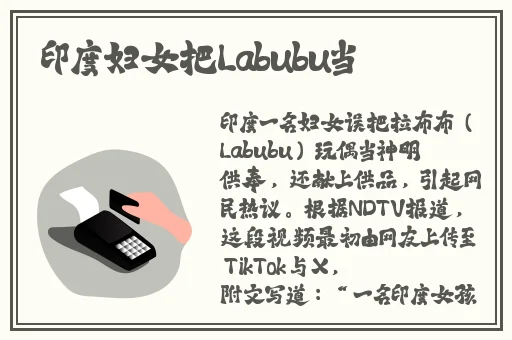 国产精品99久久久久久